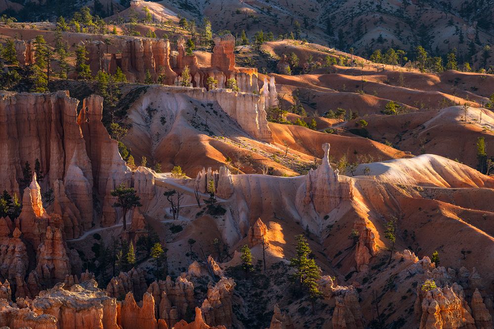 Sunrise at Bryce Canyon National Park, Utah art print by Adam Jones for $57.95 CAD