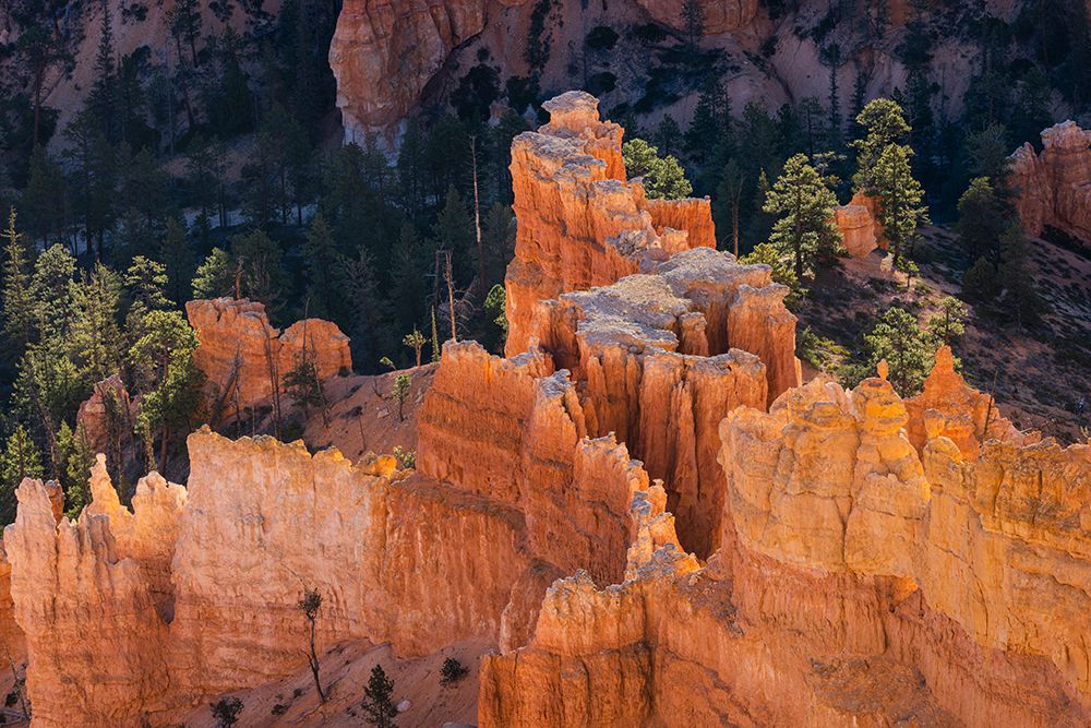 Sunrise at Bryce Canyon National Park, Utah art print by Adam Jones for $57.95 CAD