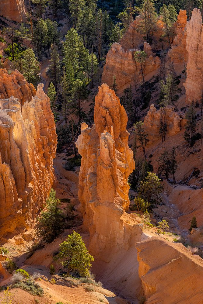Sunrise at Bryce Canyon National Park, Utah art print by Adam Jones for $57.95 CAD