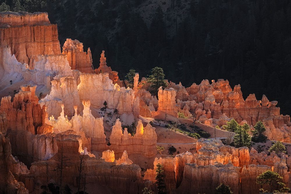 Sunrise at Bryce Canyon National Park, Utah art print by Adam Jones for $57.95 CAD