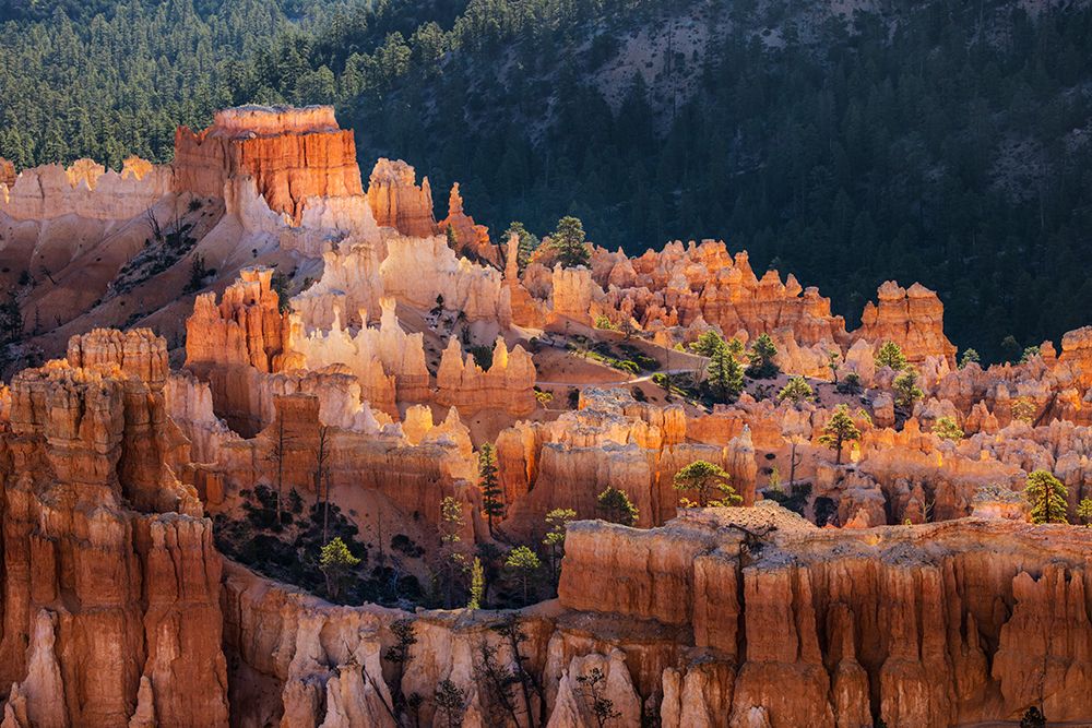Sunrise at Bryce Canyon National Park, Utah art print by Adam Jones for $57.95 CAD