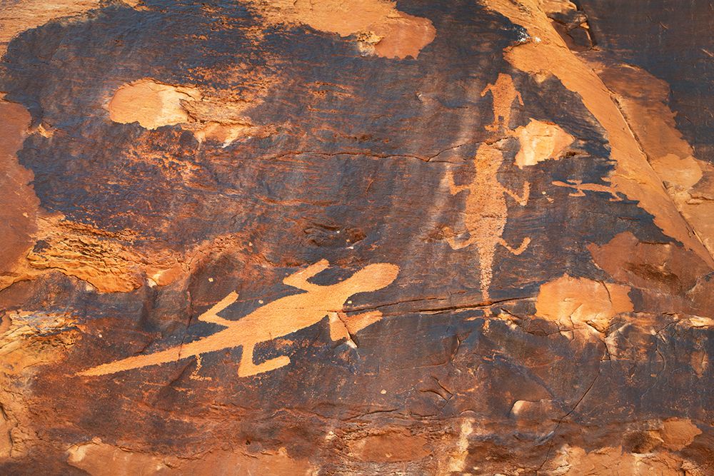 Fremont style lizard petroglyphs along Cub Creek-Dinosaur National Monument art print by Alan Majchrowicz for $57.95 CAD