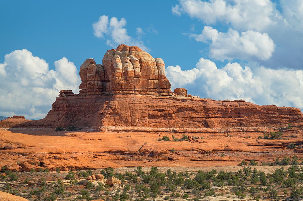 Needles District-Canyonlands National Park-Utah art print by Alan Majchrowicz for $57.95 CAD