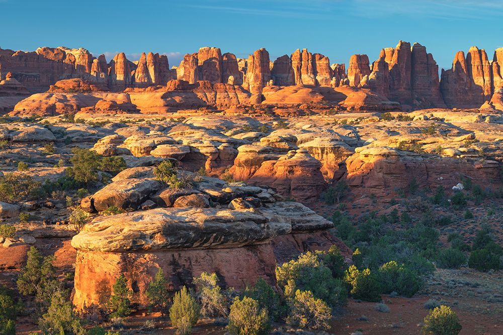 The Needles-Canyonlands National Park-Utah art print by Alan Majchrowicz for $57.95 CAD