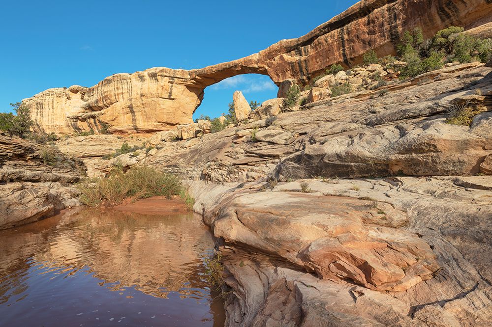 Owachomo Bridge-Natural Bridges National Monument-Utah art print by Alan Majchrowicz for $57.95 CAD
