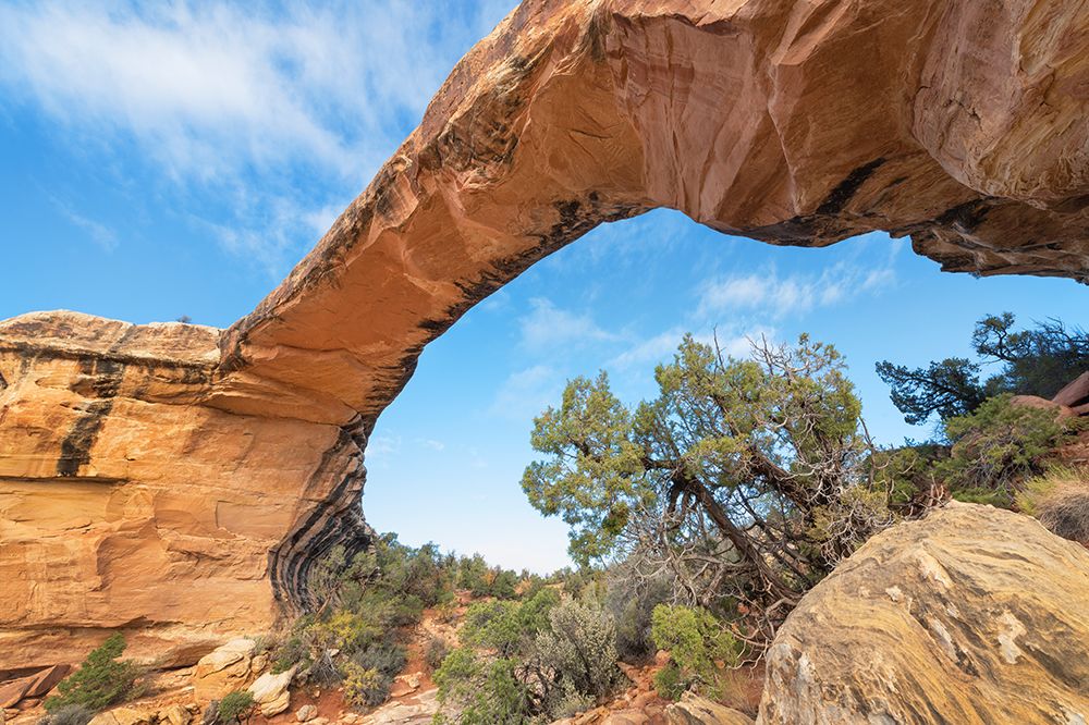 Owachomo Bridge-Natural Bridges National Monument-Utah art print by Alan Majchrowicz for $57.95 CAD