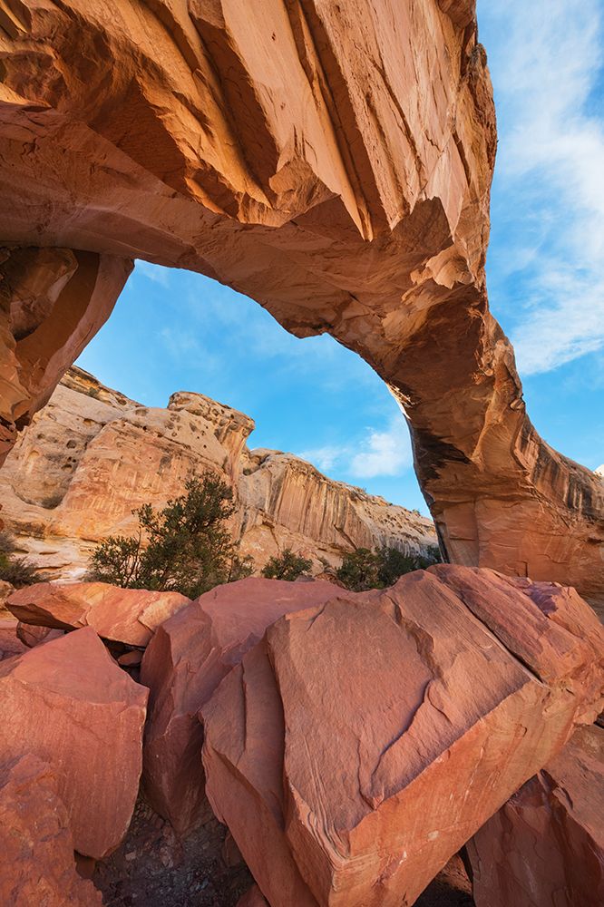 Hickman Bridge-Capitol Reef National Park-Utah art print by Alan Majchrowicz for $57.95 CAD