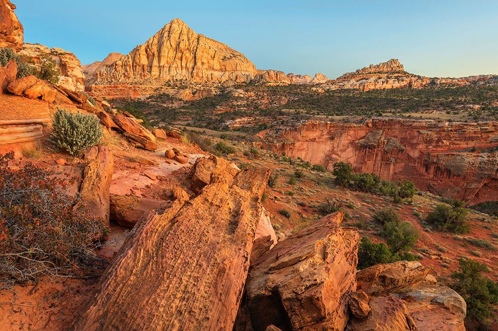Pectols Pyramid seen from the Rim Trail-Capitol Reef National Park-Utah art print by Alan Majchrowicz for $57.95 CAD