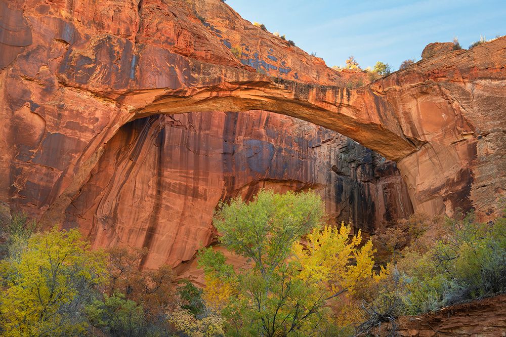 Escalante Natural Bridge-Grand Staircase-Escalante National Monument-Utah art print by Alan Majchrowicz for $57.95 CAD