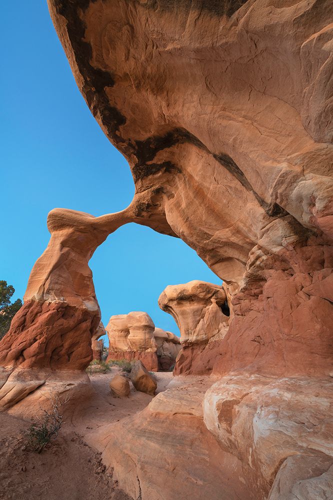 Metate Arch in Devils Garden-Grand Staircase-Escalante National Monument-Utah art print by Alan Majchrowicz for $57.95 CAD