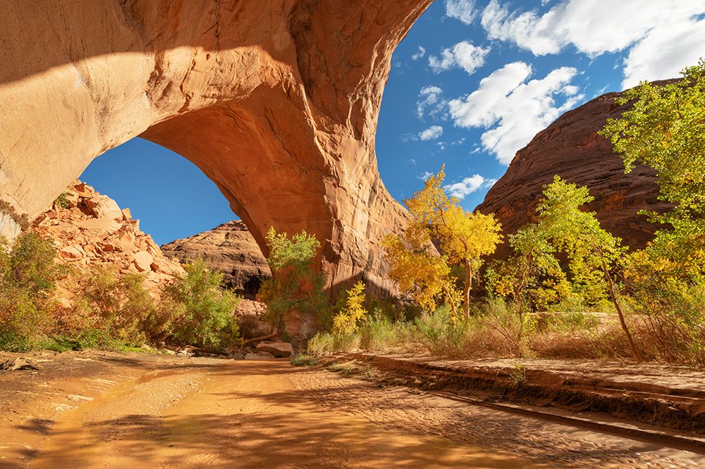 Jacob Hamblin Arch in Coyote Gulch-Glen Canyon National Recreation Area-Utah art print by Alan Majchrowicz for $57.95 CAD