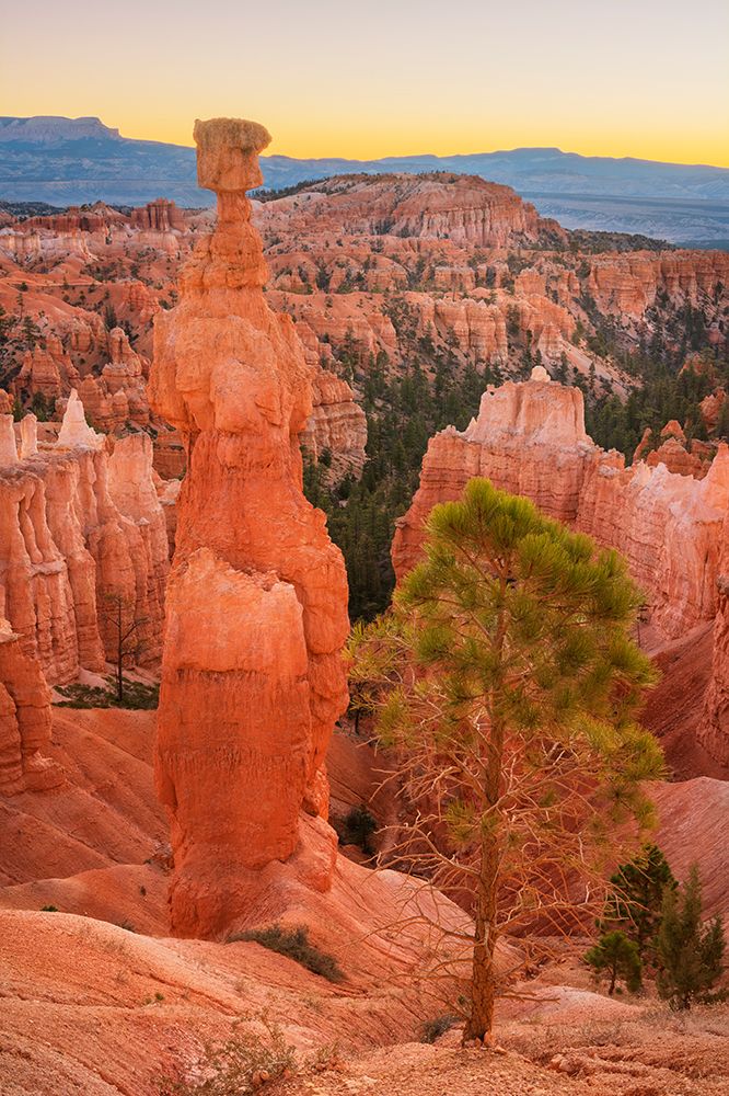 Thors Hammer and colorful hoodoos at Sunrise Point-Bryce Canyon NP-Utah art print by Alan Majchrowicz for $57.95 CAD