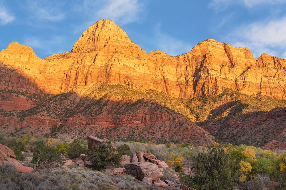 Autumn sunset on Bridge Mountain Zion National Park art print by Alan Majchrowicz for $57.95 CAD