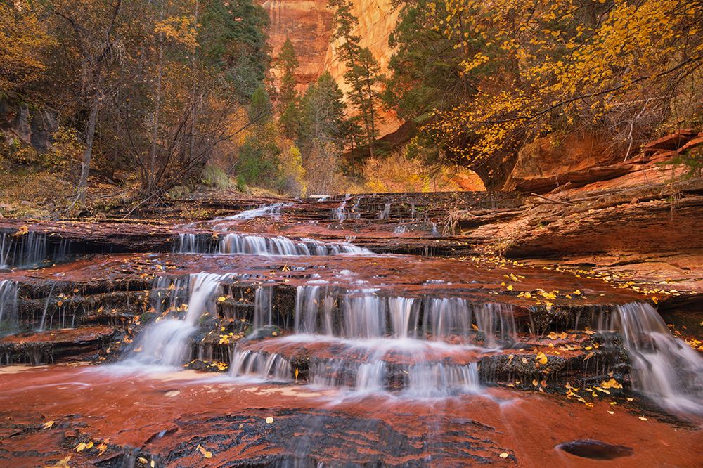 Archangel Falls on Left Fork of North Creek-Zion National Park art print by Alan Majchrowicz for $57.95 CAD