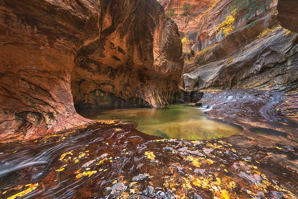 Emerald green pools in The Subway-Left Fork of North Creek-Zion National Park-Utah art print by Alan Majchrowicz for $57.95 CAD