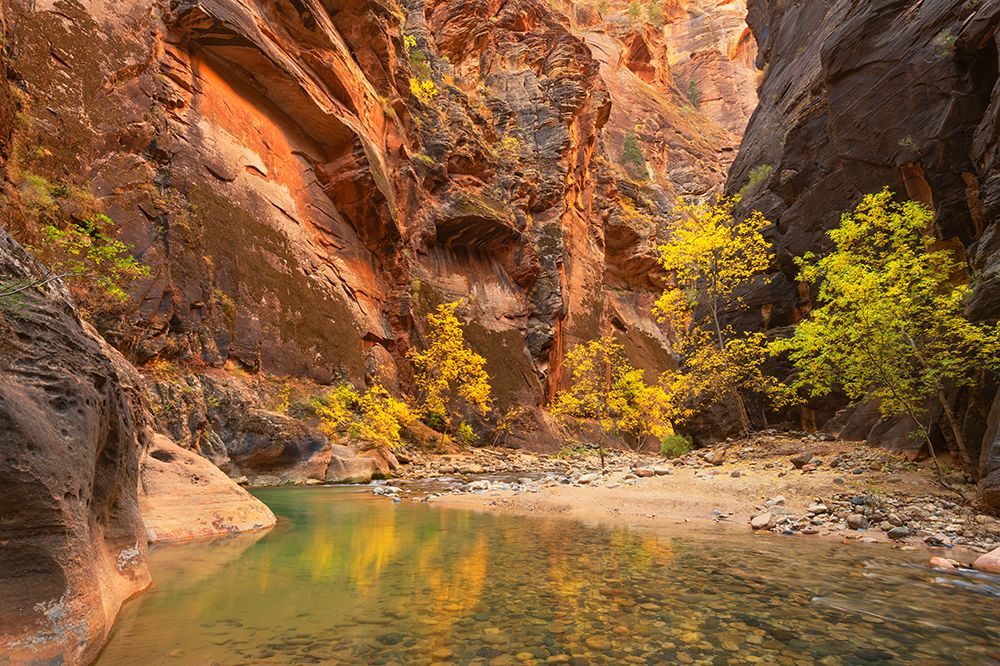 Fall color in Zion Canyon The Narrows-Zion National Park-Utah art print by Alan Majchrowicz for $57.95 CAD