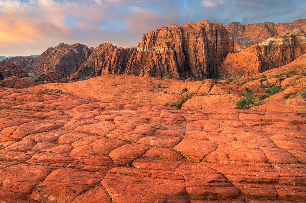 Petrified Dunes slickrock formations-Snow Canyon State Park-Utah art print by Alan Majchrowicz for $57.95 CAD