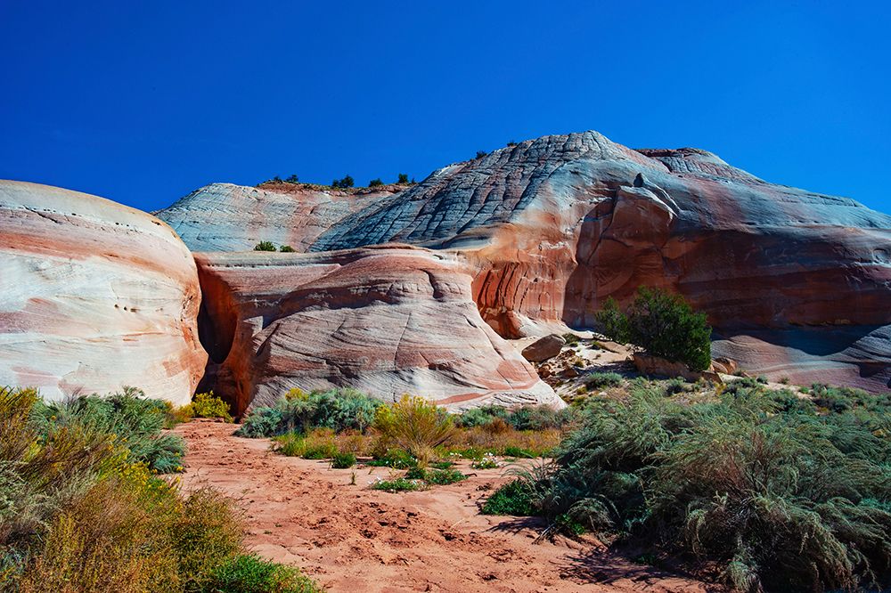 USA, Utah, Kanab, White House Campground and Trailhead Area art print by Bernard Friel for $57.95 CAD