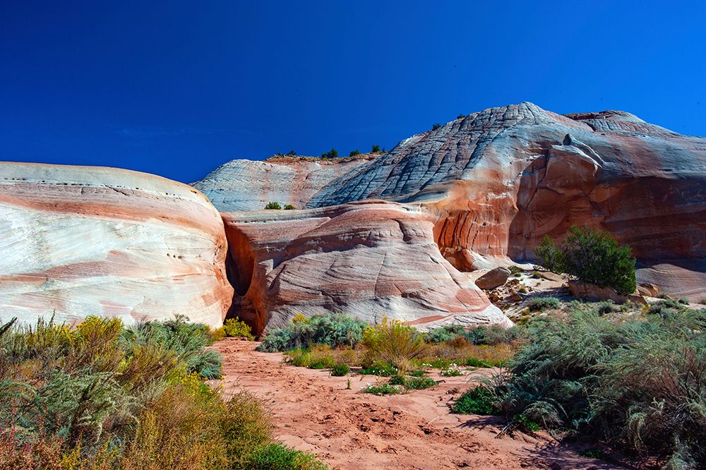 USA, Utah, Kanab, White House Campground and Trailhead Area art print by Bernard Friel for $57.95 CAD