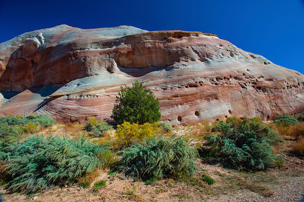 USA, Utah, Kanab, White House Campground and Trailhead Area art print by Bernard Friel for $57.95 CAD