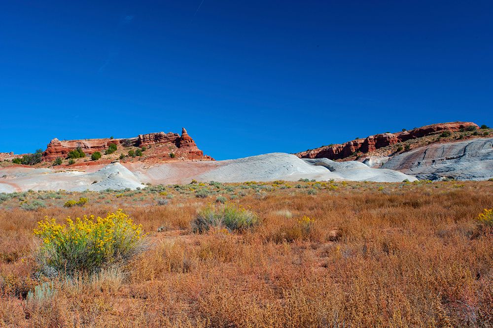 USA, Utah, Kanab, White House Campground and Trailhead Area art print by Bernard Friel for $57.95 CAD