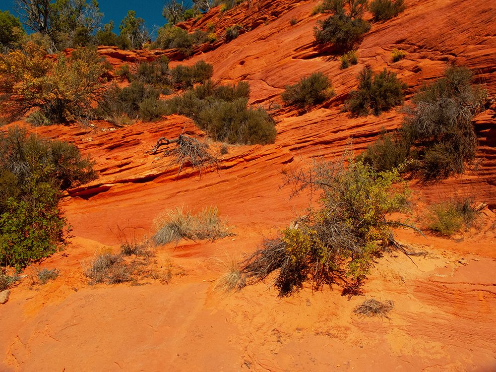 USA, Utah, Kanab, Peekaboo Canyon Entrance art print by Bernard Friel for $57.95 CAD