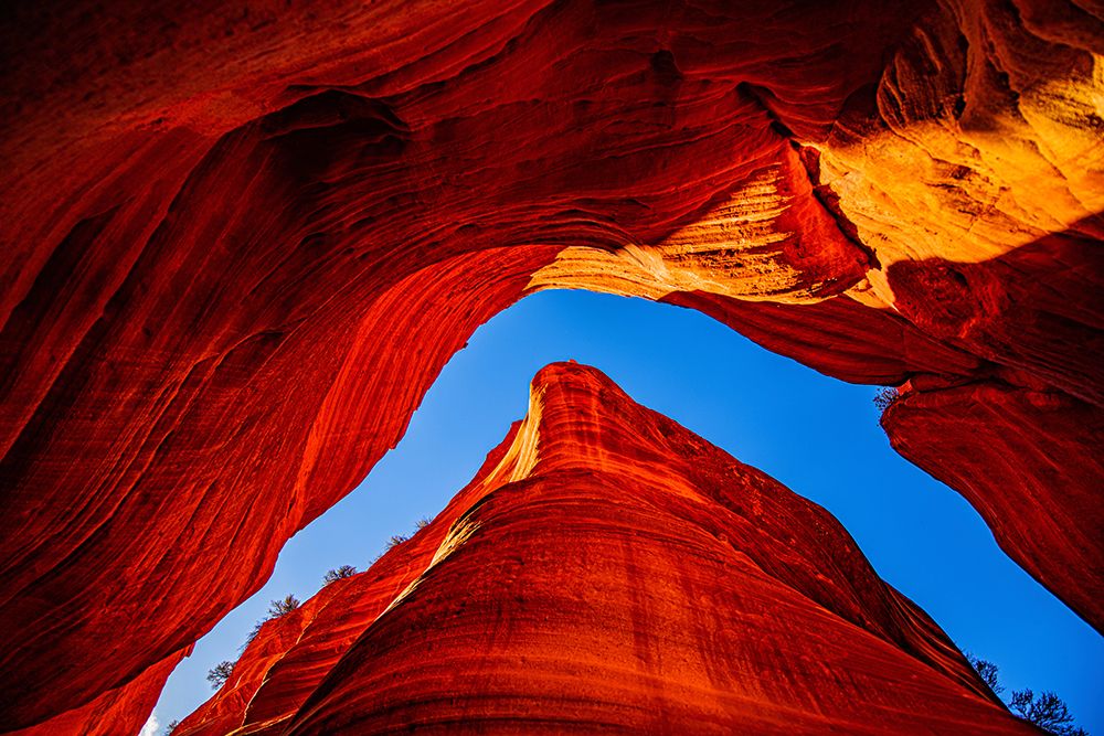 USA, Utah, Kanab, Peekaboo Slot Canyon, Skylight art print by Bernard Friel for $57.95 CAD