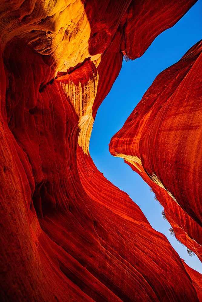 USA, Utah, Kanab, Peekaboo Slot Canyon art print by Bernard Friel for $57.95 CAD