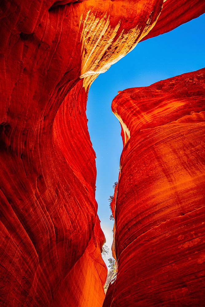 USA, Utah, Kanab, Peekaboo Slot Canyon art print by Bernard Friel for $57.95 CAD