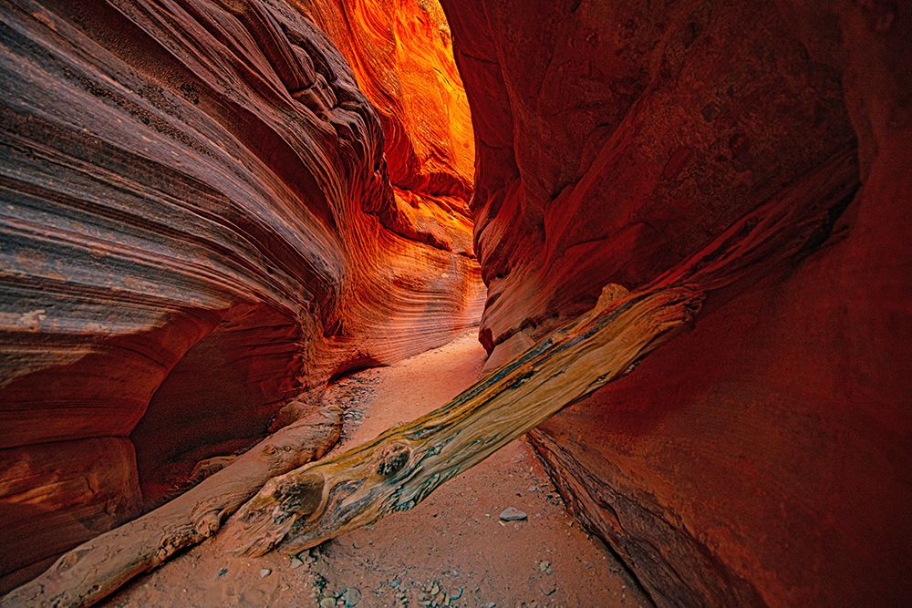 USA, Utah, Kanab, Peekaboo Slot Canyon Wedged Logs art print by Bernard Friel for $57.95 CAD
