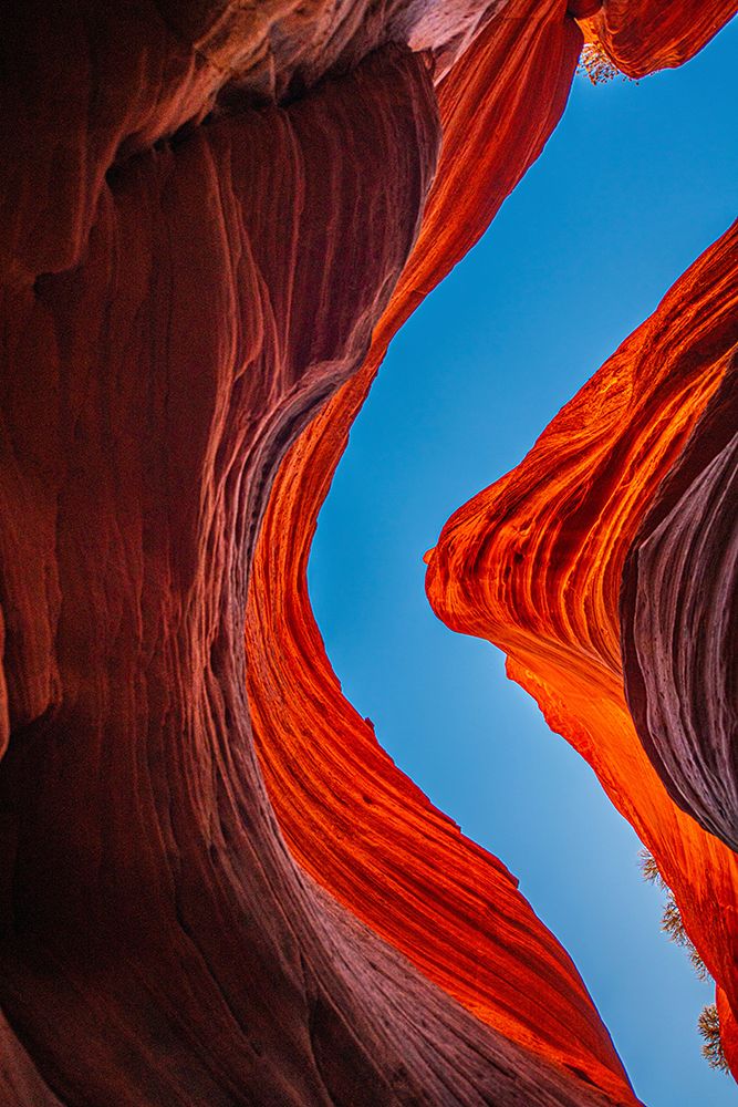 USA, Utah, Kanab, Peekaboo Slot Canyon, Skylight art print by Bernard Friel for $57.95 CAD