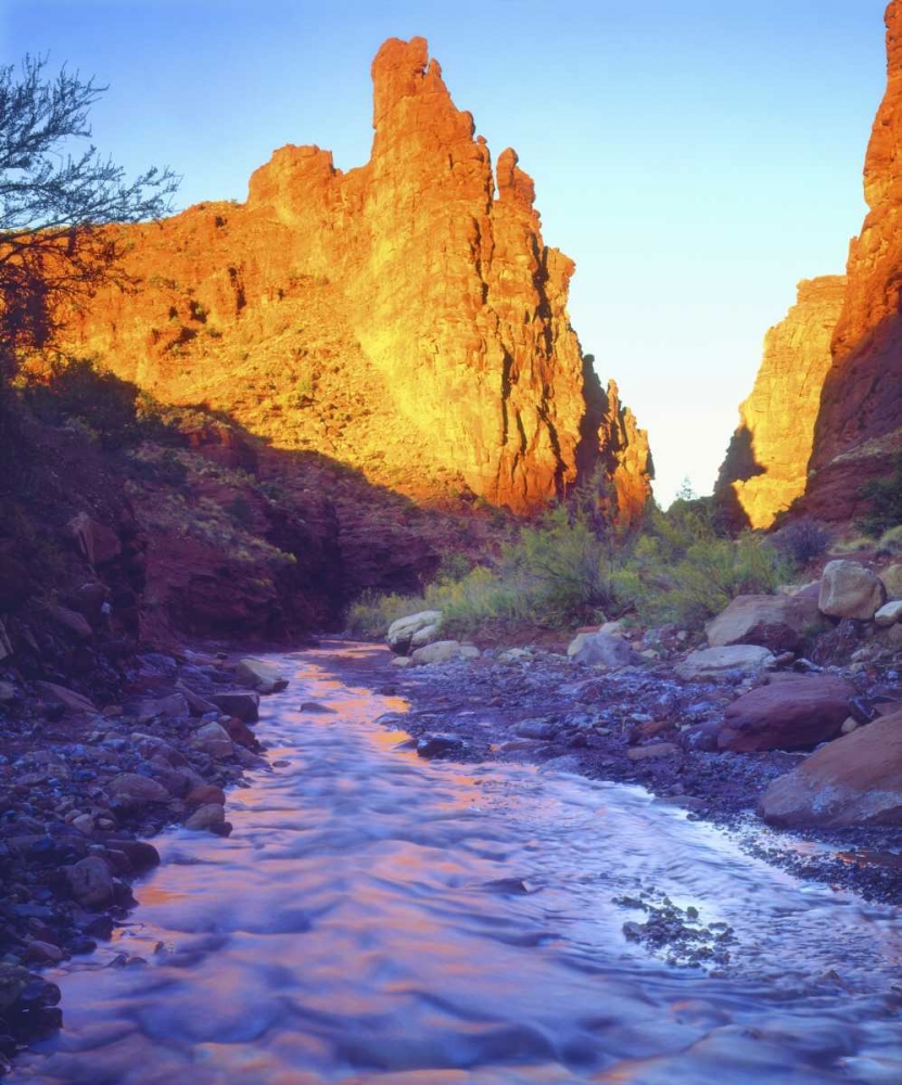 USA, Utah, A stream near Fisher Towers art print by Christopher Talbot Frank for $57.95 CAD