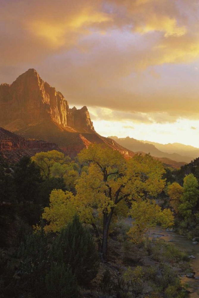 UT, Zion NP  Canyon landscape at sunset art print by Bill Young for $57.95 CAD