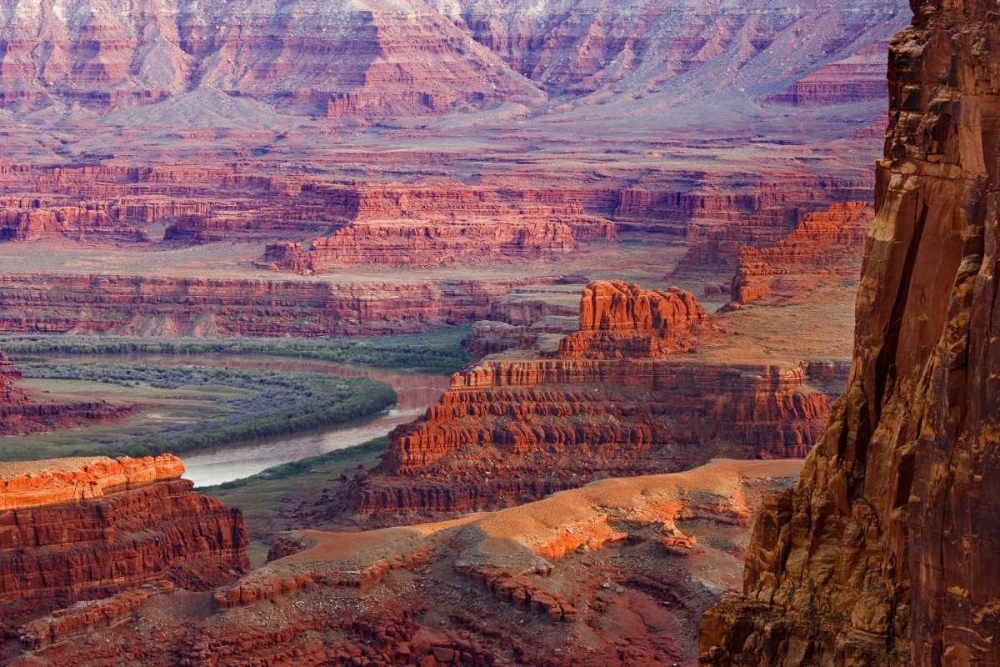 UT, Dead Horse Point View of the Colorado River art print by Don Paulson for $57.95 CAD