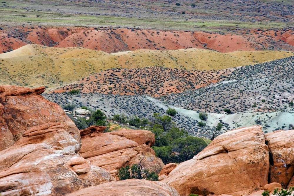 USA, Utah, Arches NP View of Salt Valley art print by Don Paulson for $57.95 CAD