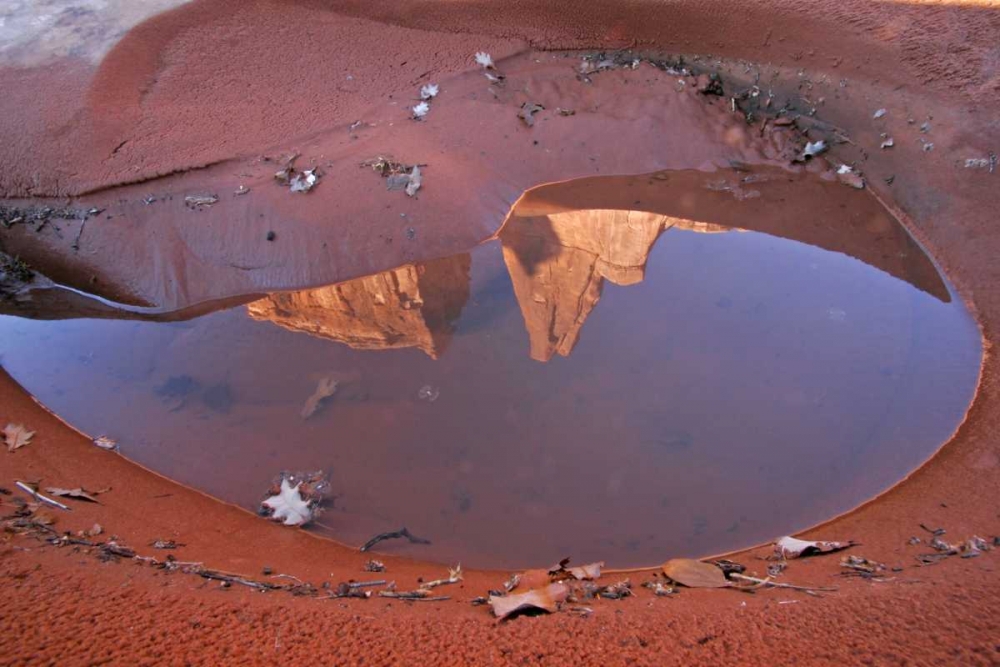 UT, Arches NP Rain puddle reflections art print by Cathy and Gordon Illg for $57.95 CAD