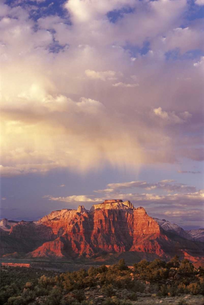 UT, Zion NP Storm over back of West Temple art print by Dave Welling for $57.95 CAD