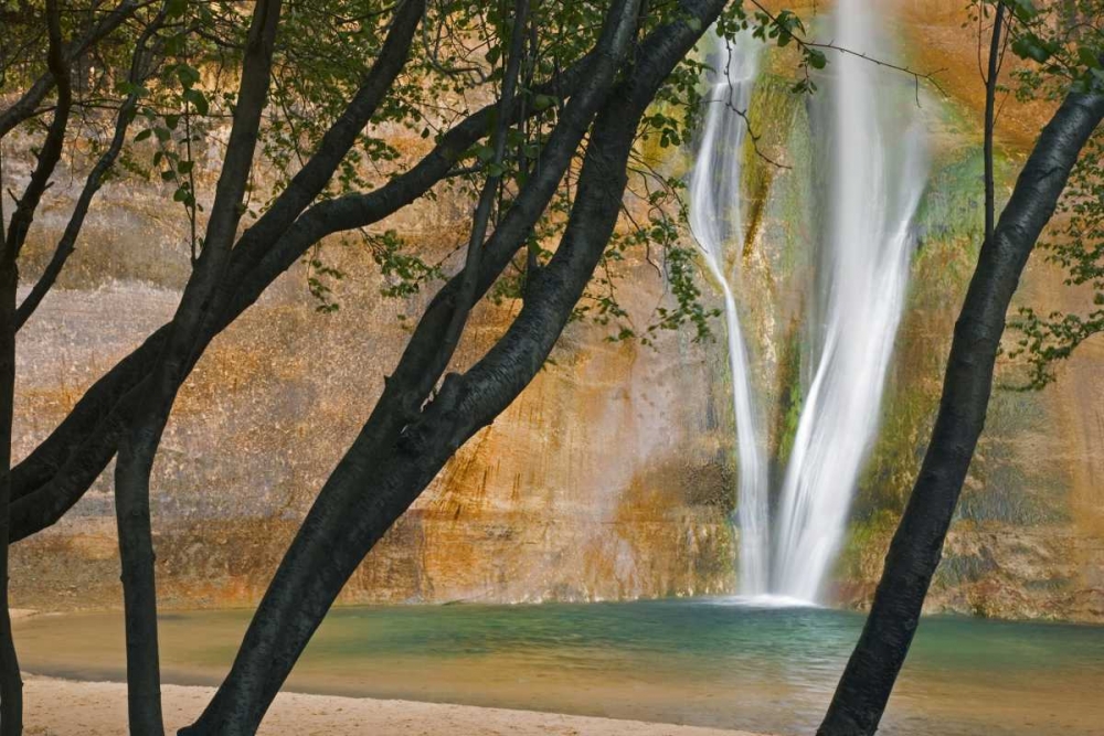 USA, Utah View of Calf Creek Falls through trees art print by Don Paulson for $57.95 CAD