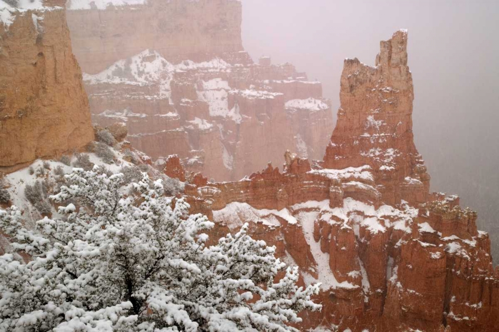 Utah, Bryce Canyon Paria Valley formations art print by Don Paulson for $57.95 CAD