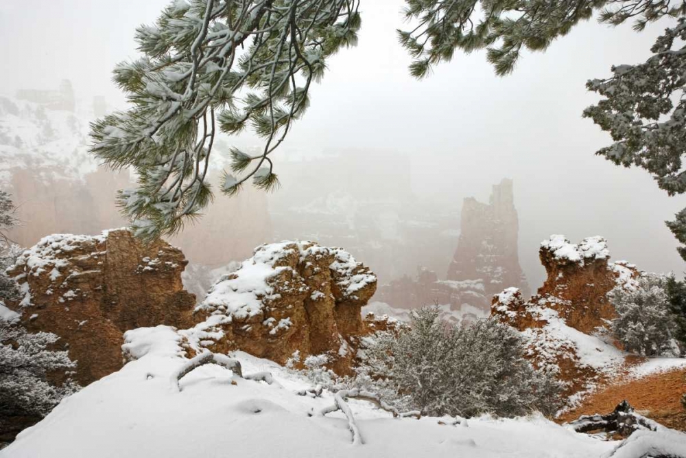 Utah, Bryce Canyon Paria Valley formations art print by Don Paulson for $57.95 CAD