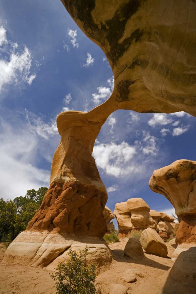 UT, Escalante Grand Staircase NM, Devils Garden art print by Don Paulson for $57.95 CAD
