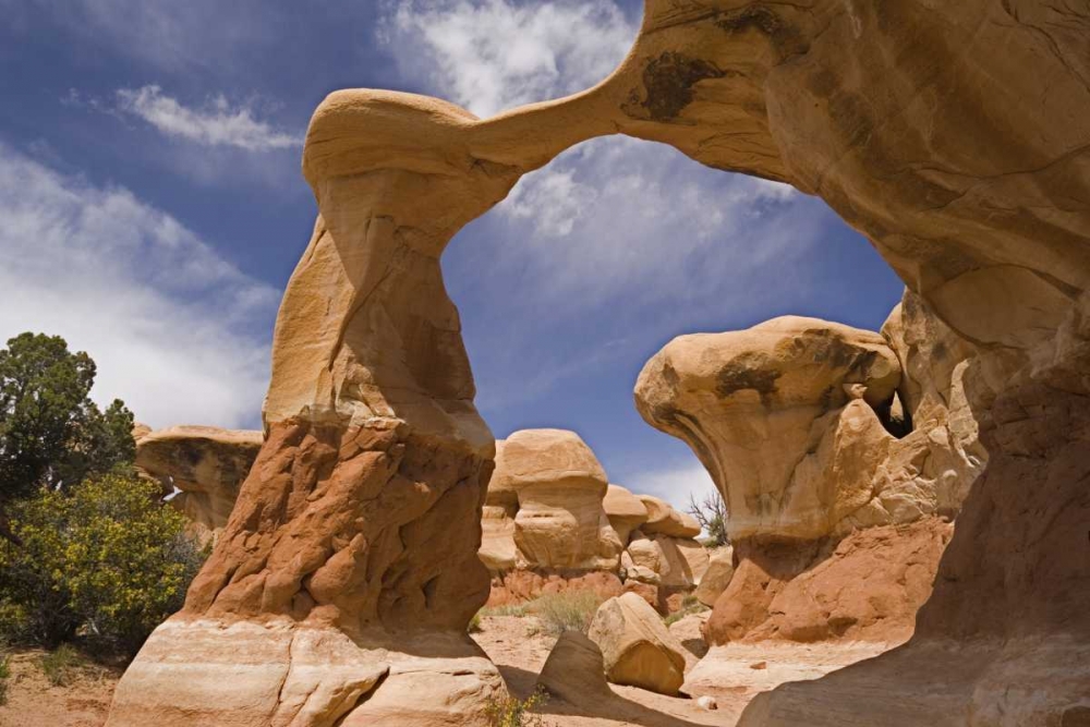 UT, Escalante Grand Staircase NM, Devils Garden art print by Don Paulson for $57.95 CAD