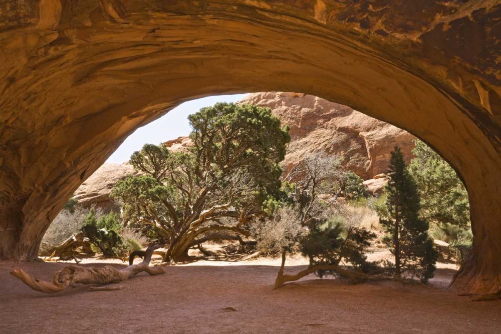 USA, Utah, Arches NP View of cave-like arch art print by Don Paulson for $57.95 CAD