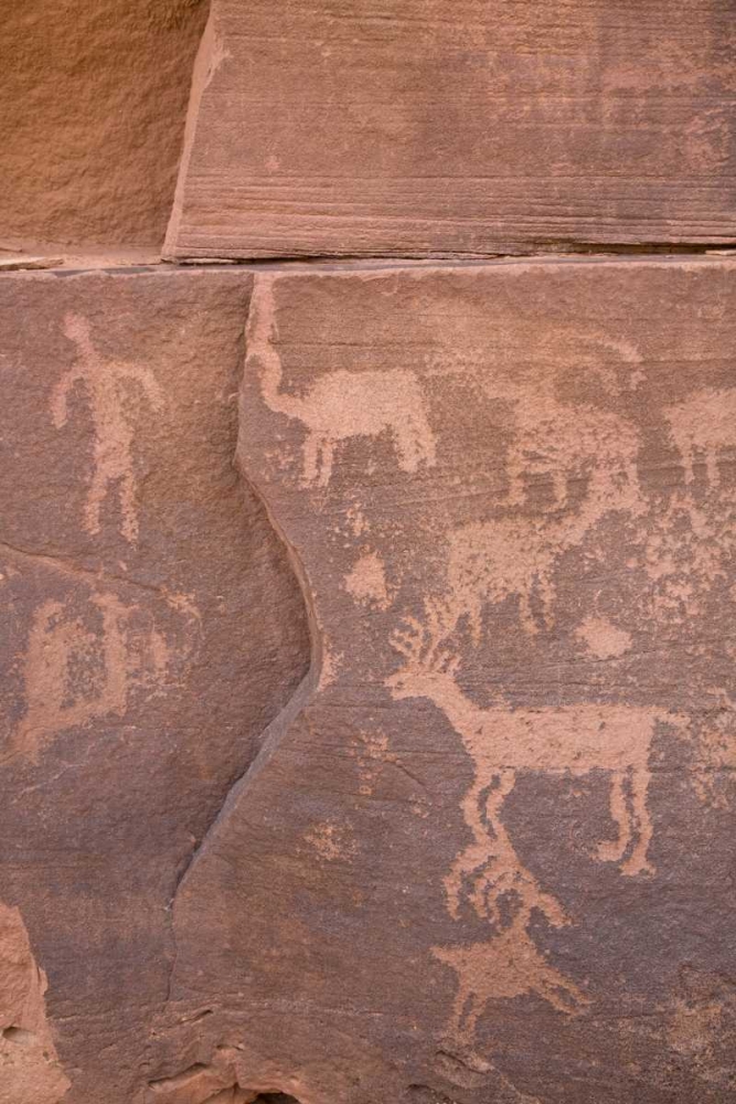 USA, Utah, Canyonlands NP Petroglyphs on rocks art print by Don Paulson for $57.95 CAD