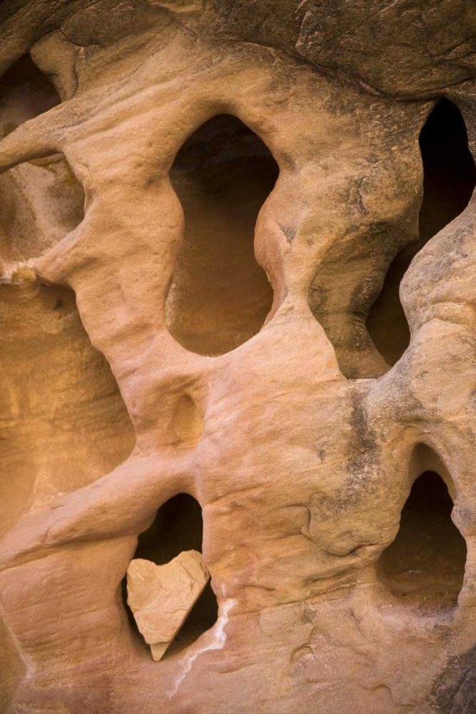 UT, Canyonlands NP Heart-shape rock in sandstone art print by Don Paulson for $57.95 CAD