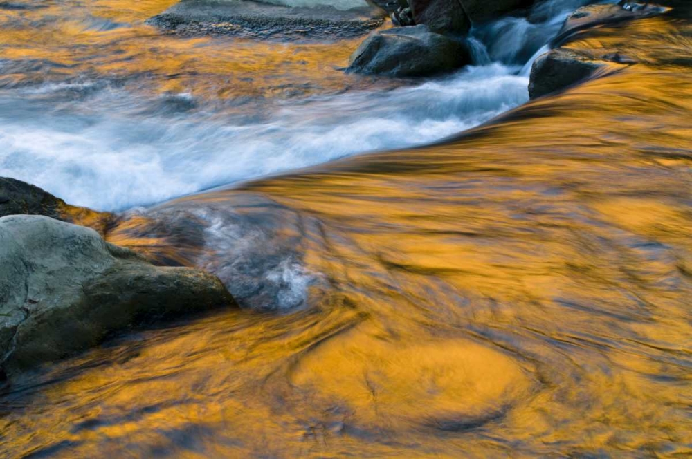 UT, Zion NP Canyon reflections on Virgin River art print by Nancy Rotenberg for $57.95 CAD
