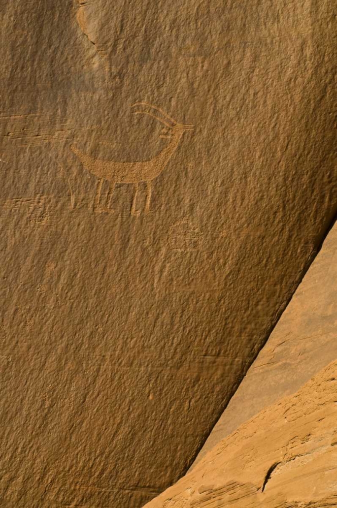 UT, Monument Valley Ancient petroglyphs art print by Nancy Rotenberg for $57.95 CAD