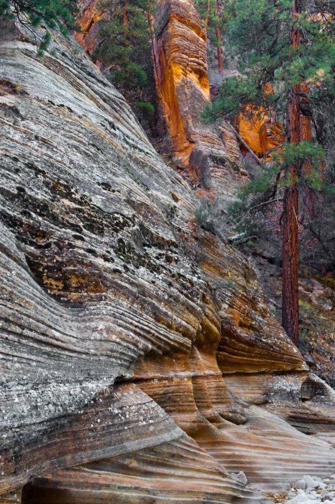 Utah, Zion NP Rock formations in Red Rock Canyon art print by Nancy Rotenberg for $57.95 CAD