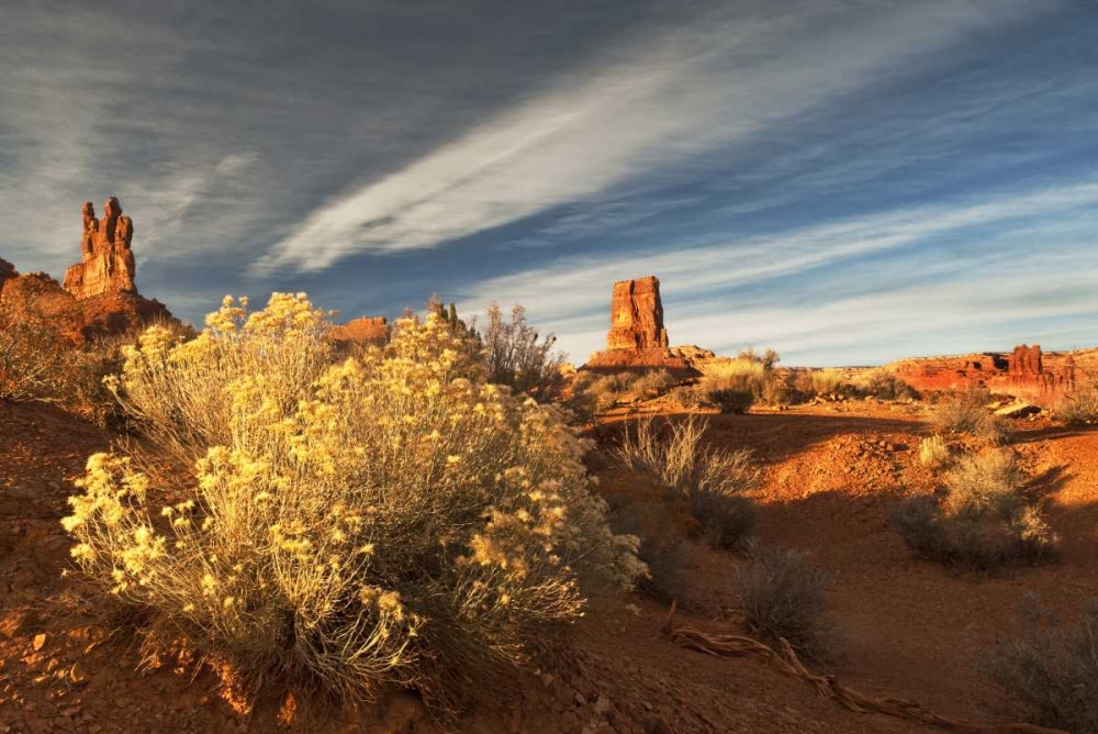UT, Valley of The Gods Eroded formations art print by Nancy Rotenberg for $57.95 CAD