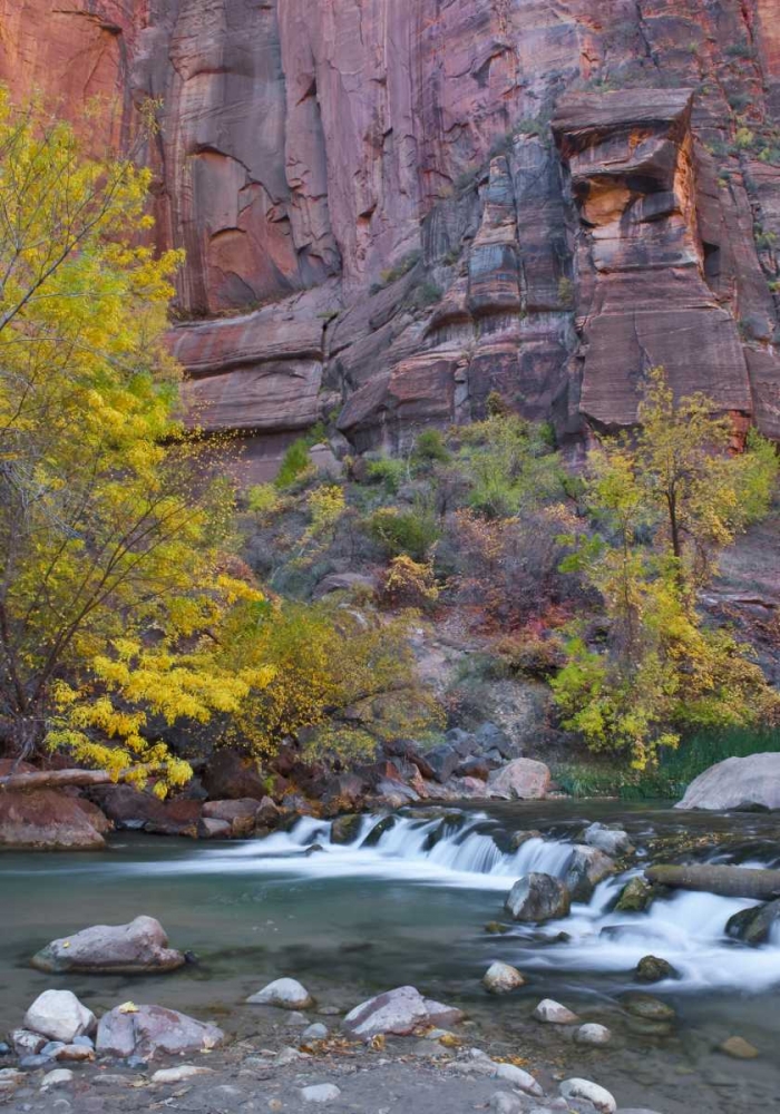 UT, Zion NP The Narrows with cottonwood trees art print by Nancy Rotenberg for $57.95 CAD